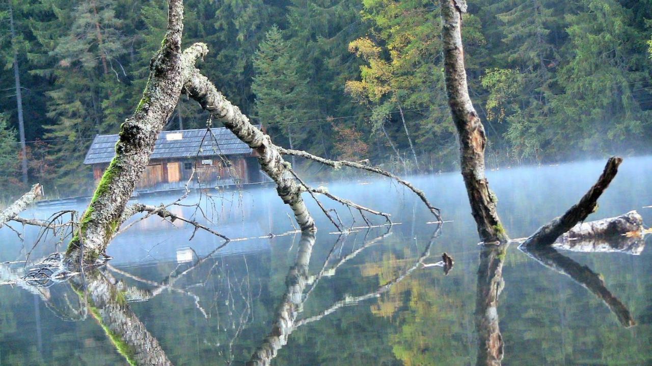 فندق اوتزفي  Gasthof Piburger See المظهر الخارجي الصورة