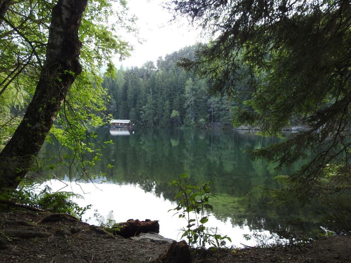 فندق اوتزفي  Gasthof Piburger See المظهر الخارجي الصورة